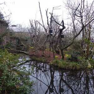 Monkey Islands near entrance 280118