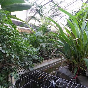 Reptile House 280118