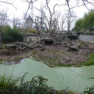 Sloth bear exhibit 280118