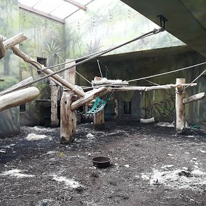 Chimpanzee indoor exhibit