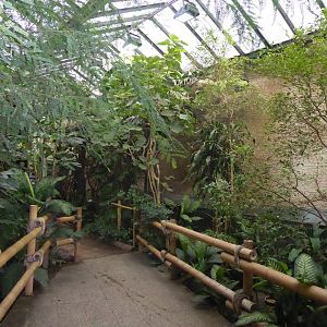 Bird House interior 280118