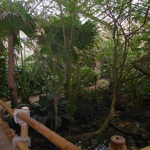 Bird House interior 280118