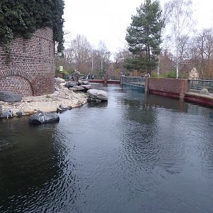 Fur seal exhibit 280118