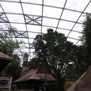 Gondwanaland food area 280118