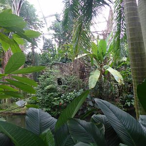 Gondwanaland 280118
