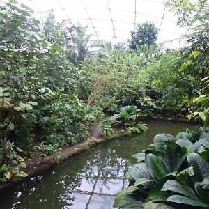 Gondwanaland 280118