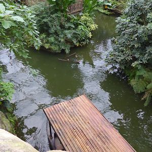 Gondwanaland - view of Boat Trip 280118