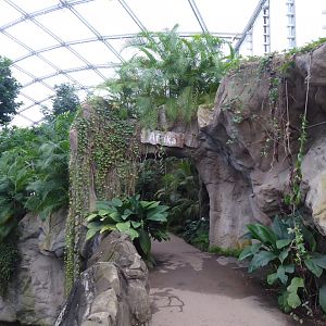 Gondwanaland - entrance to Africa section 280118