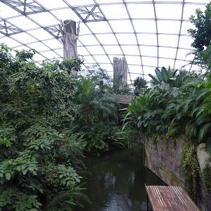 Gondwanaland 280118