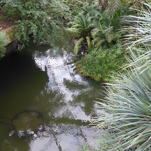 Gondwanaland - view of river 280118