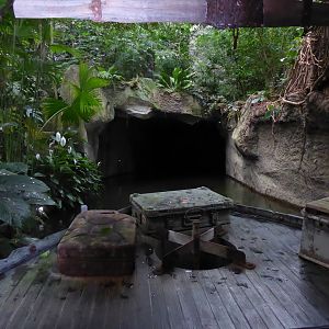 Gondwanaland - Boat Trip view 280118