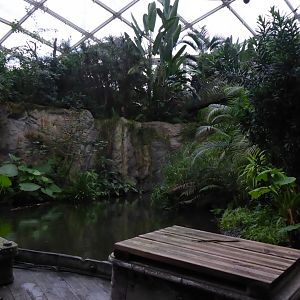 Gondwanaland - Boat Trip view 280118