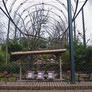 Heron and stork aviary 280118