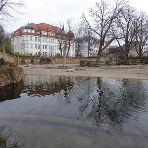 Asian elephant enclosure 280118
