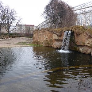 Asian elephant enclosure 280118