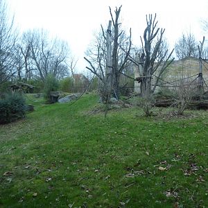 Pongoland outdoors 280118