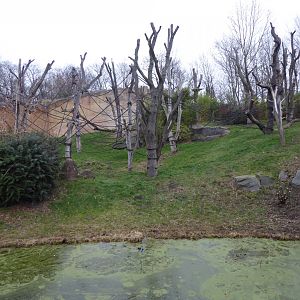 Pongoland outdoors 280118