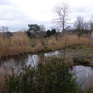 Part of Savannah Exhibit 280118