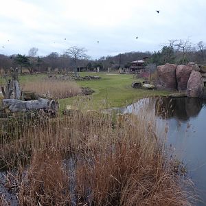 African Savannah exhibit 280118