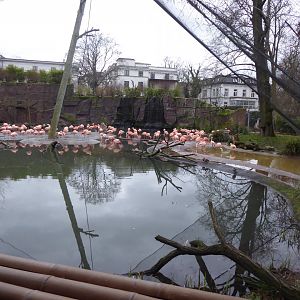 Flamingo Lagoon 280118