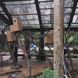 Thick billed parrot and Roadrunner exhibit