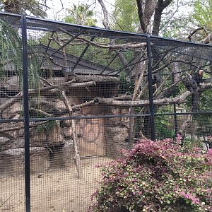 White faced saki and two toed sloth exhibit