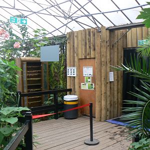 Entrance/ Exit to Butterfly House - 28 March 2018