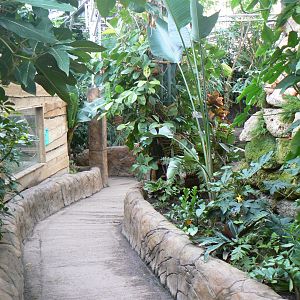 View in Waterfall House - 28 March 2018