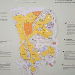 Asian Elephant complex