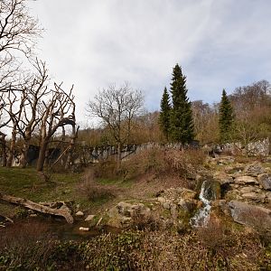Spectacled bear enclosure