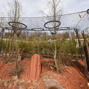 Australia - kookaburra aviary