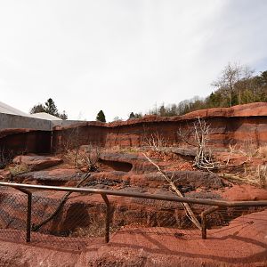 Australia - Perentie outdoors