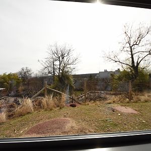 Australia - Rabbit enclosure