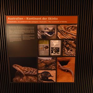 Australia - Education example