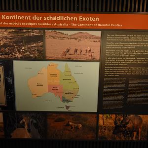 Australia - Education sign