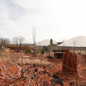 Australia - Walkthrough