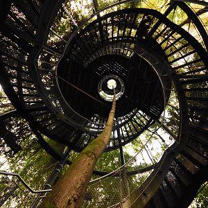 Masoala hall - Treetop walk