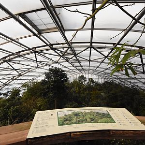 Masoala hall - Viewpoint