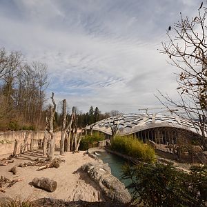 Elephant outdoors - Bull enclosure