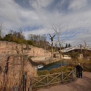 Elephant outdoors - Main enclosure
