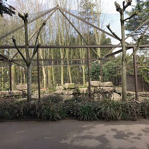 Large wading bird aviary 250318