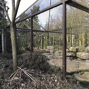Large wading birds aviary 250318