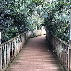 Walkway to Wolverine exhibit 250118