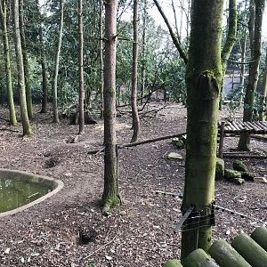 Wolverine exhibit 250318