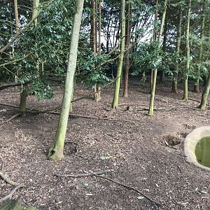 Wolverine exhibit 250318