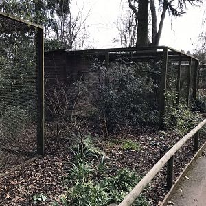 Owl aviaries 250318