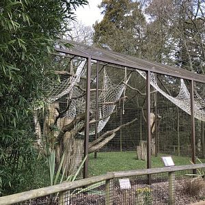 Colobus exhibit 250318