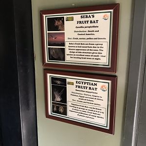 Signage example 250318