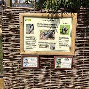 Giant anteater signage 250318