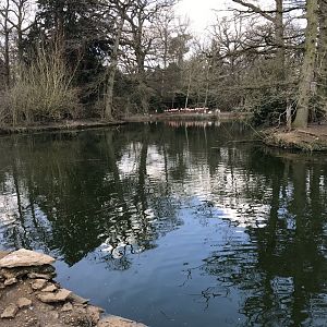 Waterfowl pond 250318